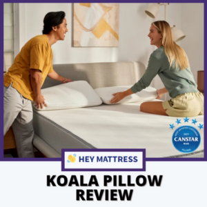 Koala-Pillow-Review